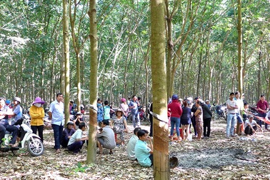 Xâm hại xong ném bé gái 4 tuổi xuống giếng, kẻ thủ ác còn cửa thoát án tử?