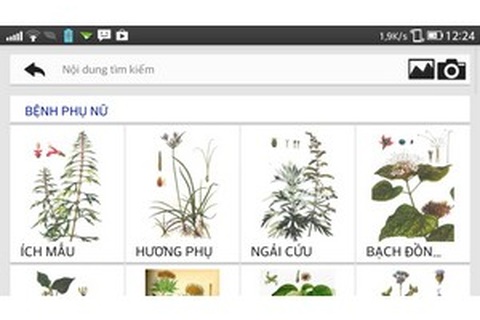 Ứng dụng di động tra cứu thông tin cây thuốc Việt Nam