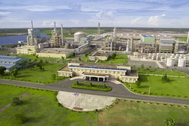 Hiệu quả 3 trong 1 của NPK Cà Mau công nghệ Poly Phosphate