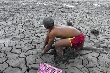 Chàng trai đào hố... bắt cá trên cạn