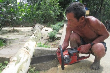 Thợ cưa cây một tay kỳ tài ở miền Tây