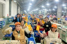 Hàng chục nghìn công nhân tích cực trở lại làm việc sau Tết