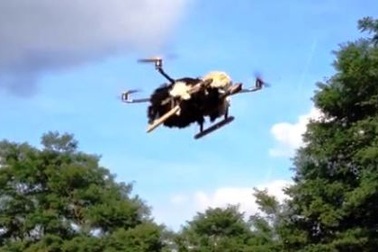 Đà điểu... biết bay