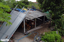 5 mẹ con sống trong chòi tạm, đêm lạnh co ro khi nước mưa dột tứ bề