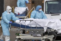 Mỹ: Hơn 45.000 người chết vì Covid-19, một số bang mở cửa trở lại