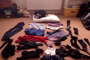 Mèo "nghiện" trộm nội y