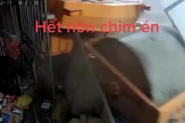 Xe lu mất kiểm soát, tông sập nhà bên đường