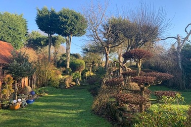 Khu vườn nhỏ thiết kế tuyệt đẹp: Mất 45 năm chăm sóc, thu hút 10 nghìn du khách mỗi năm