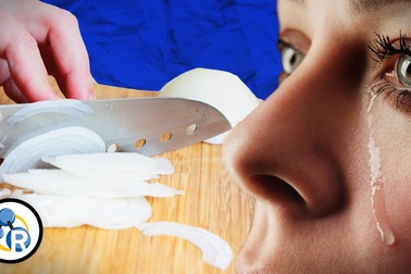 Tại sao lại bị chảy nước mắt khi thái hành?