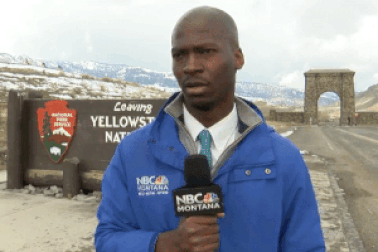 “Sợ hết hồn” vì đang đưa tin thì gặp... đàn bò rừng