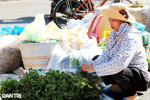 Gom nhặt cả năm cho phiên chợ lá chỉ bán vài ngày Tết Đoan ngọ