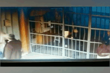 Xôn xao clip nam phạm nhân cải trang thành nữ thoát khỏi trại giam