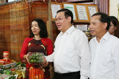 Phó Thủ tướng: Đặc sản “chưa từng có” ở miền núi được xuất khẩu nước ngoài!