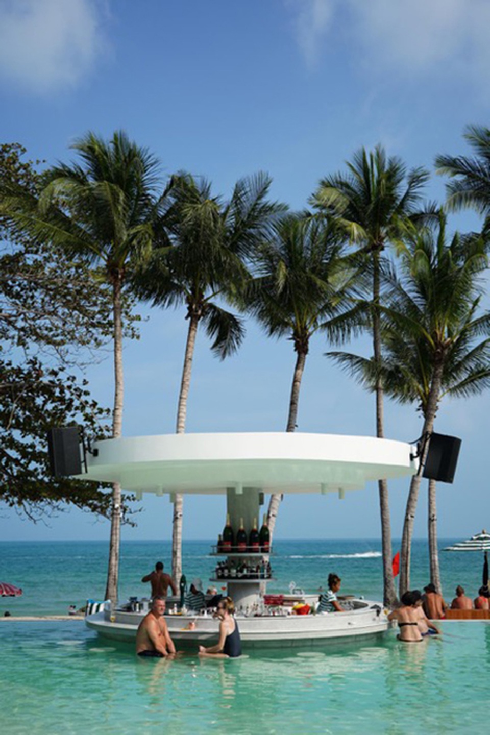 Lợn rừng “minh tinh”: Điểm nhấn trên bãi biển Koh Samui - 7 Lợn rừng “minh tinh”: Điểm nhấn trên bãi biển Koh Samui - 7