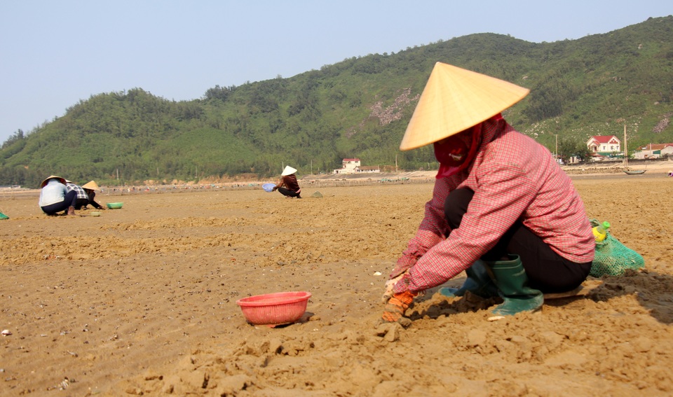 Nhọc nhằn nghề bới cát tìm con sò - 1 Nhọc nhằn nghề bới cát tìm con sò - 1