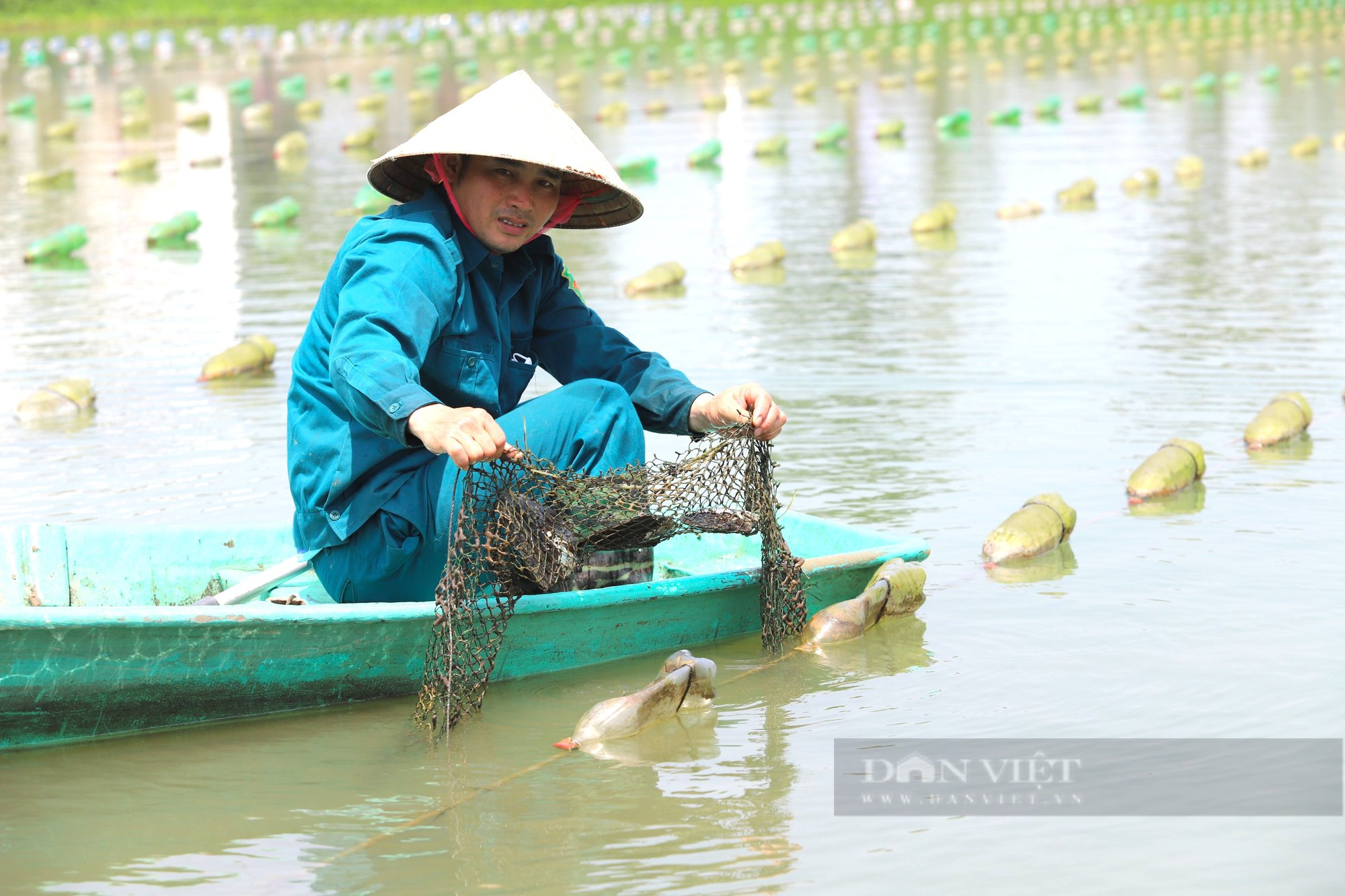 Nuôi trai lấy ngọc, ngay lần đầu đã trúng hàng trăm triệu đồng/năm - 3 Nuôi trai lấy ngọc, ngay lần đầu đã trúng hàng trăm triệu đồng/năm - 3
