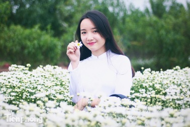 Ngắm thiếu nữ Hà thành đẹp mong manh bên cúc họa mi