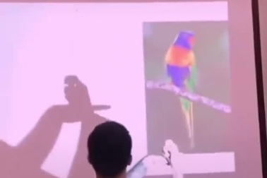 Thán phục với khả năng tạo hình động vật bằng tay