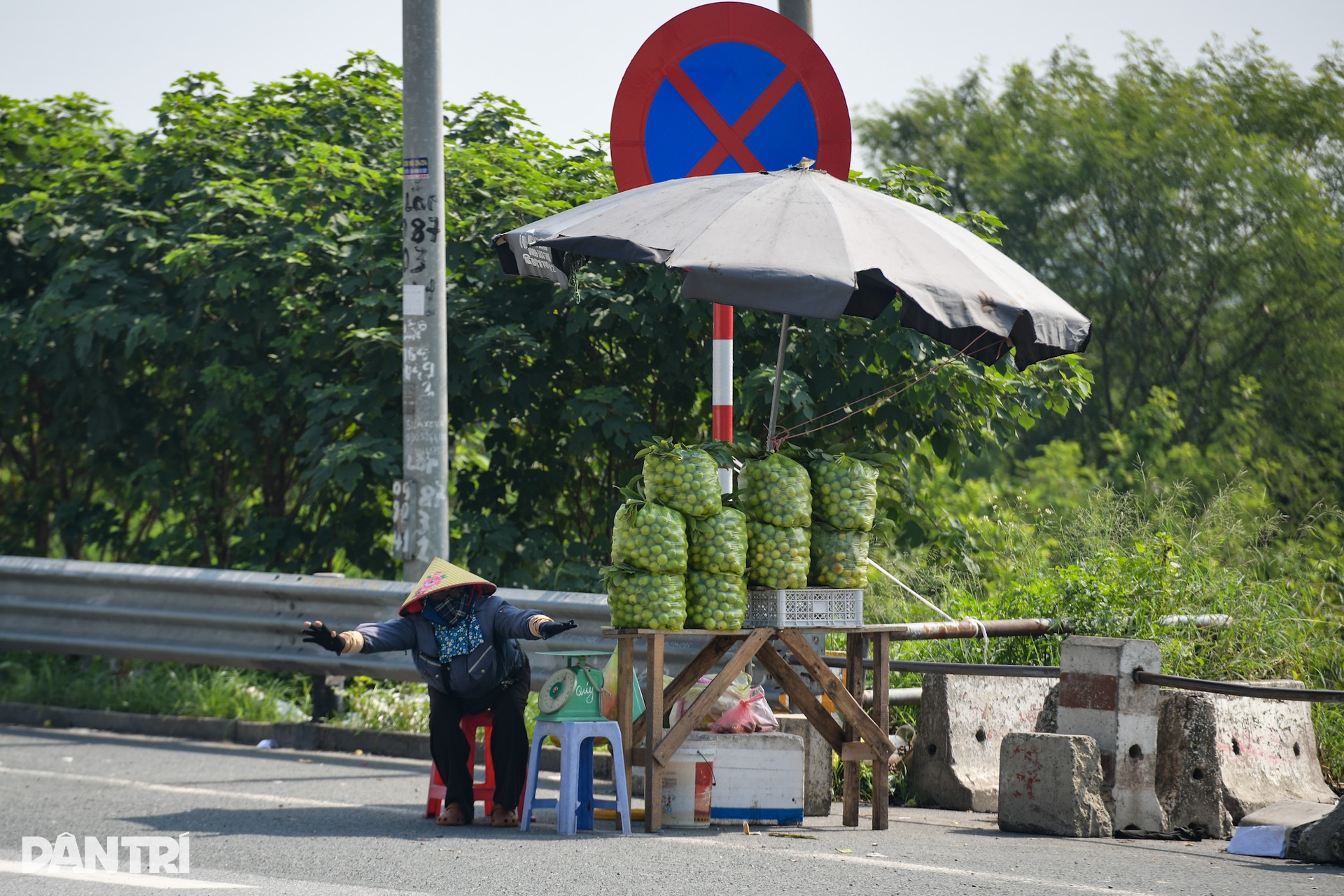 Người bán ổi dưới chân cầu Thanh Trì dọn hàng tháo chạy khi thấy công an - 3 Người bán ổi dưới chân cầu Thanh Trì dọn hàng tháo chạy khi thấy công an - 3