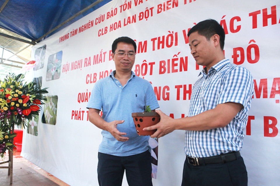 Choáng những giỏ hoa lan đột biến hiếm thấy ở Hà Nội, giá hàng trăm triệu - 7 Choáng những giỏ hoa lan đột biến hiếm thấy ở Hà Nội, giá hàng trăm triệu - 7
