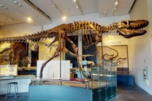 Phát hiện mới về giác quan của khủng long