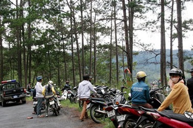 Cướp taxi trên đèo Prenn - Đà Lạt