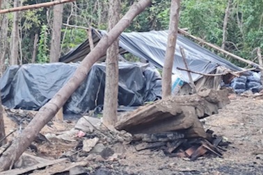 Phát hiện 3 lò than trái phép "mọc" trong rừng