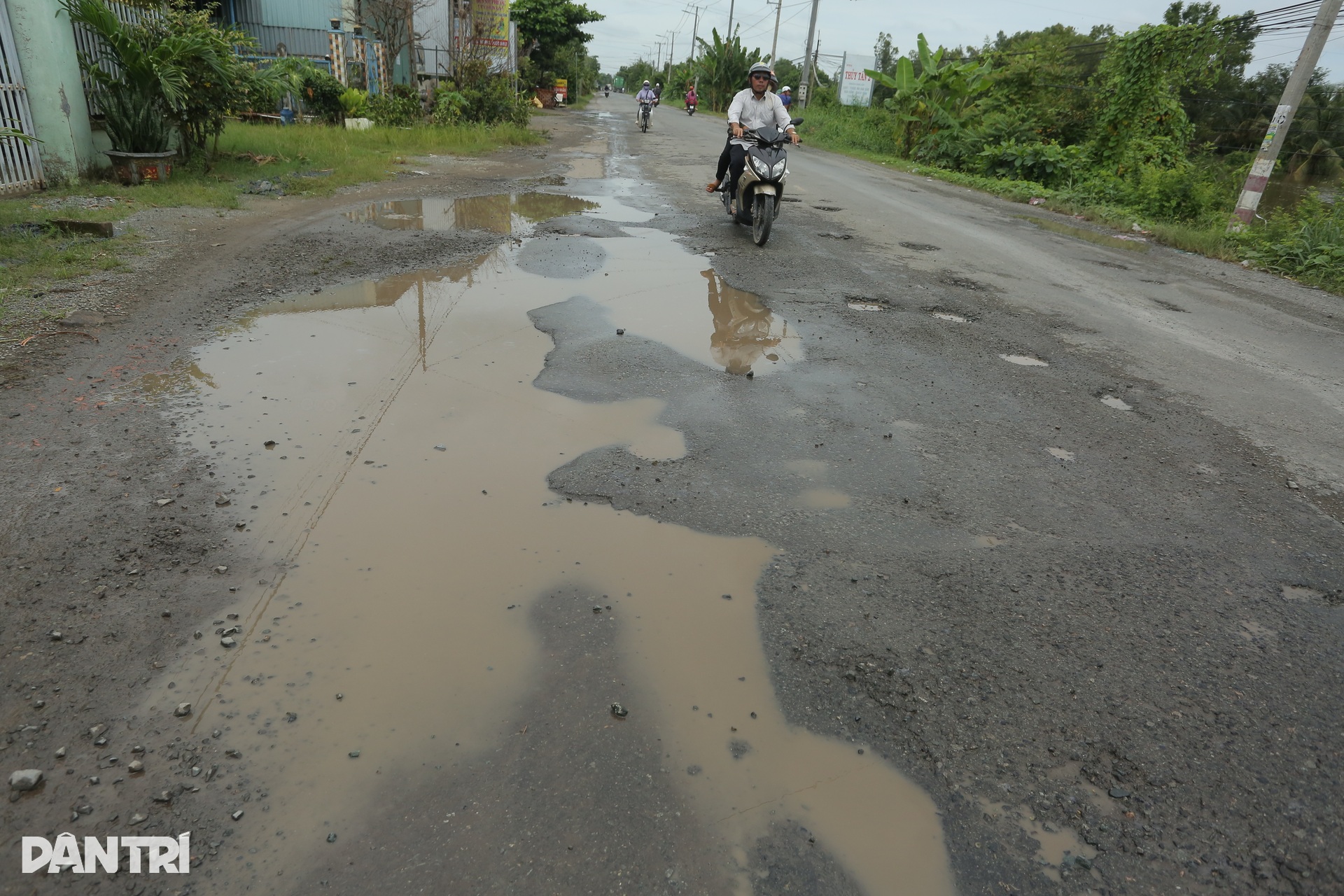 Quốc lộ 62 ở Tây Ninh xuống cấp nghiêm trọng, mặt đường chi chít “ổ gà” - 4 Quốc lộ 62 ở Tây Ninh xuống cấp nghiêm trọng, mặt đường chi chít “ổ gà” - 4