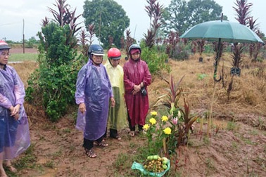 Cha mẹ nạn nhân vụ Cát Tường đội mưa nhận mộ con