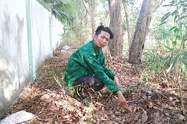 Vụ 7 năm xử lý rác phát hiện 300 xác thai nhi: Rà soát đường đi của rác thải y tế