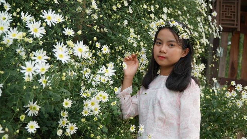 Mua đất từ thủ đô về Thanh Hóa trồng cúc họa mi, kiếm bộn tiền - 7 Mua đất từ thủ đô về Thanh Hóa trồng cúc họa mi, kiếm bộn tiền - 7