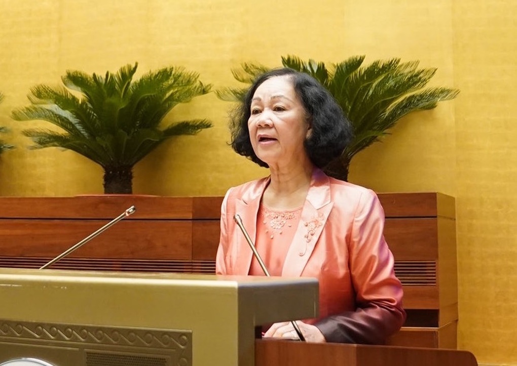 Bà Trương Thị Mai: Rất tiếc có một bộ phận giữa đường gãy cánh - 1 Bà Trương Thị Mai: Rất tiếc có một bộ phận giữa đường gãy cánh - 1