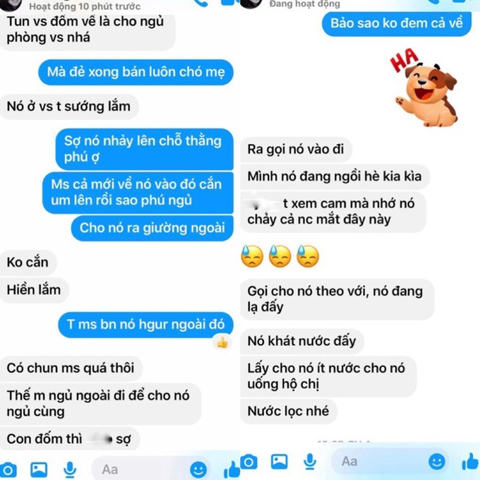 Mới sinh con, bà mẹ bị stress vì chị chồng: Gửi chó nhờ nuôi, dặn dò em dâu cho ngủ cùng - Ảnh 2. Mới sinh con, bà mẹ bị stress vì chị chồng: Gửi chó nhờ nuôi, dặn dò em dâu cho ngủ cùng - Ảnh 2.