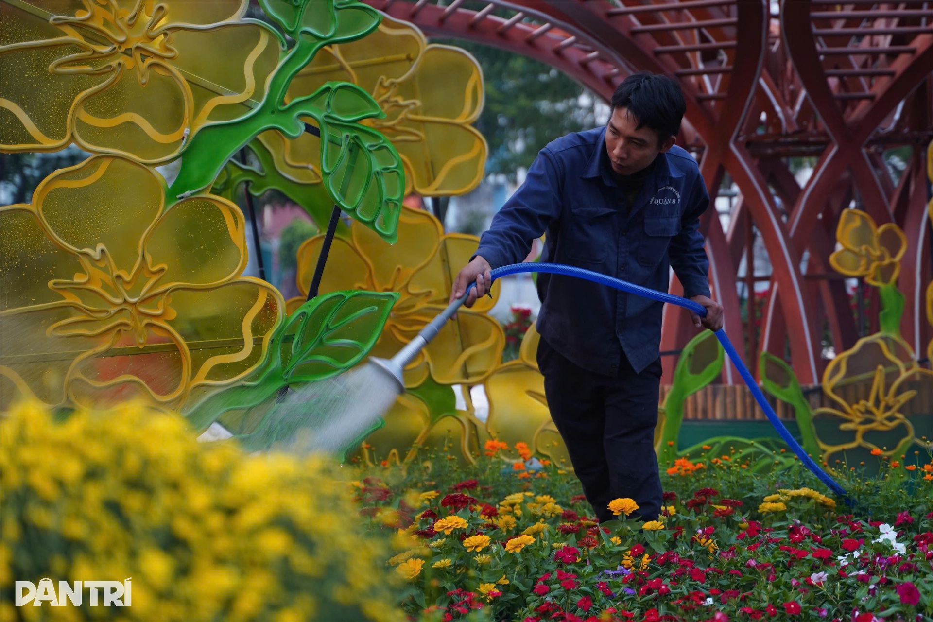 Tất bật chuẩn bị cho Chợ hoa xuân Trên bến dưới thuyền duy nhất tại TPHCM - 1 Tất bật chuẩn bị cho Chợ hoa xuân Trên bến dưới thuyền duy nhất tại TPHCM - 1
