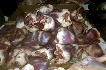 Buộc tiêu huỷ 1 tấn thực phẩm đông lạnh "bẩn" tại chợ Phùng Khoang