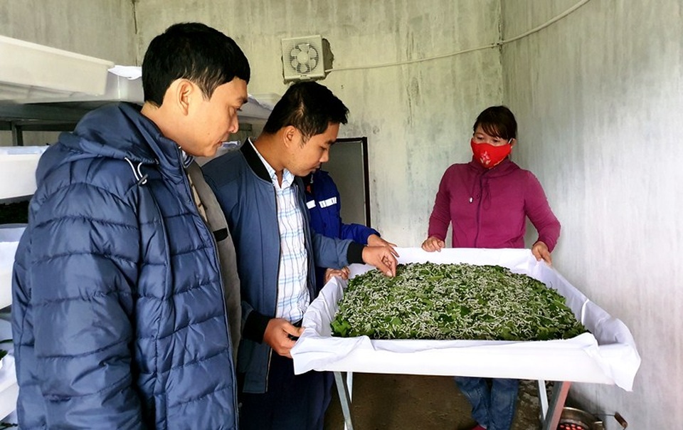 Đã mắt với mô hình trồng dâu nuôi tằm xanh ngút ngàn trên mảnh đất cằn - 5 Đã mắt với mô hình trồng dâu nuôi tằm xanh ngút ngàn trên mảnh đất cằn - 5