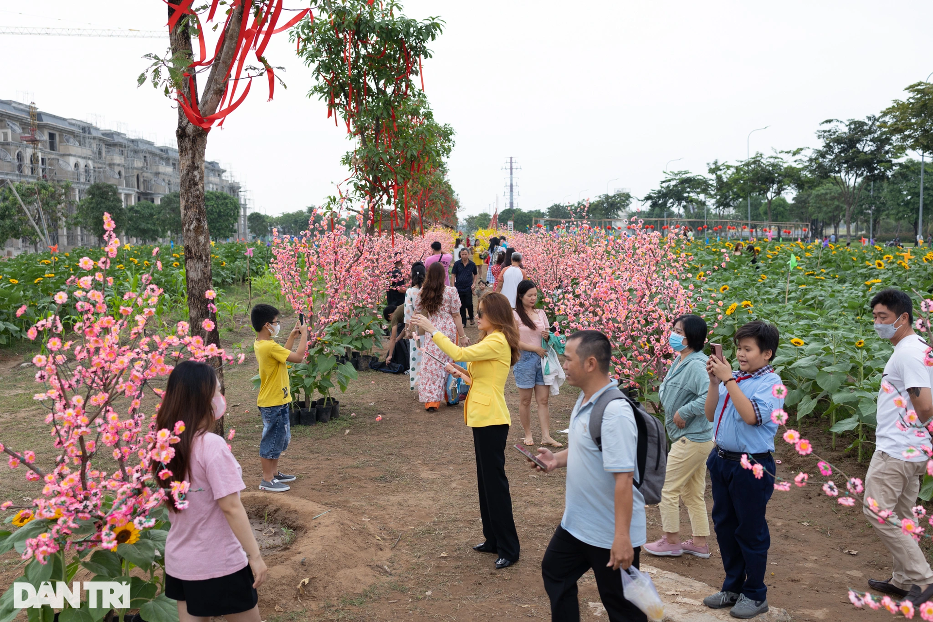 Người dân đổ xô đến check-in vườn hoa hướng dương lớn nhất TPHCM - 5 Người dân đổ xô đến check-in vườn hoa hướng dương lớn nhất TPHCM - 5