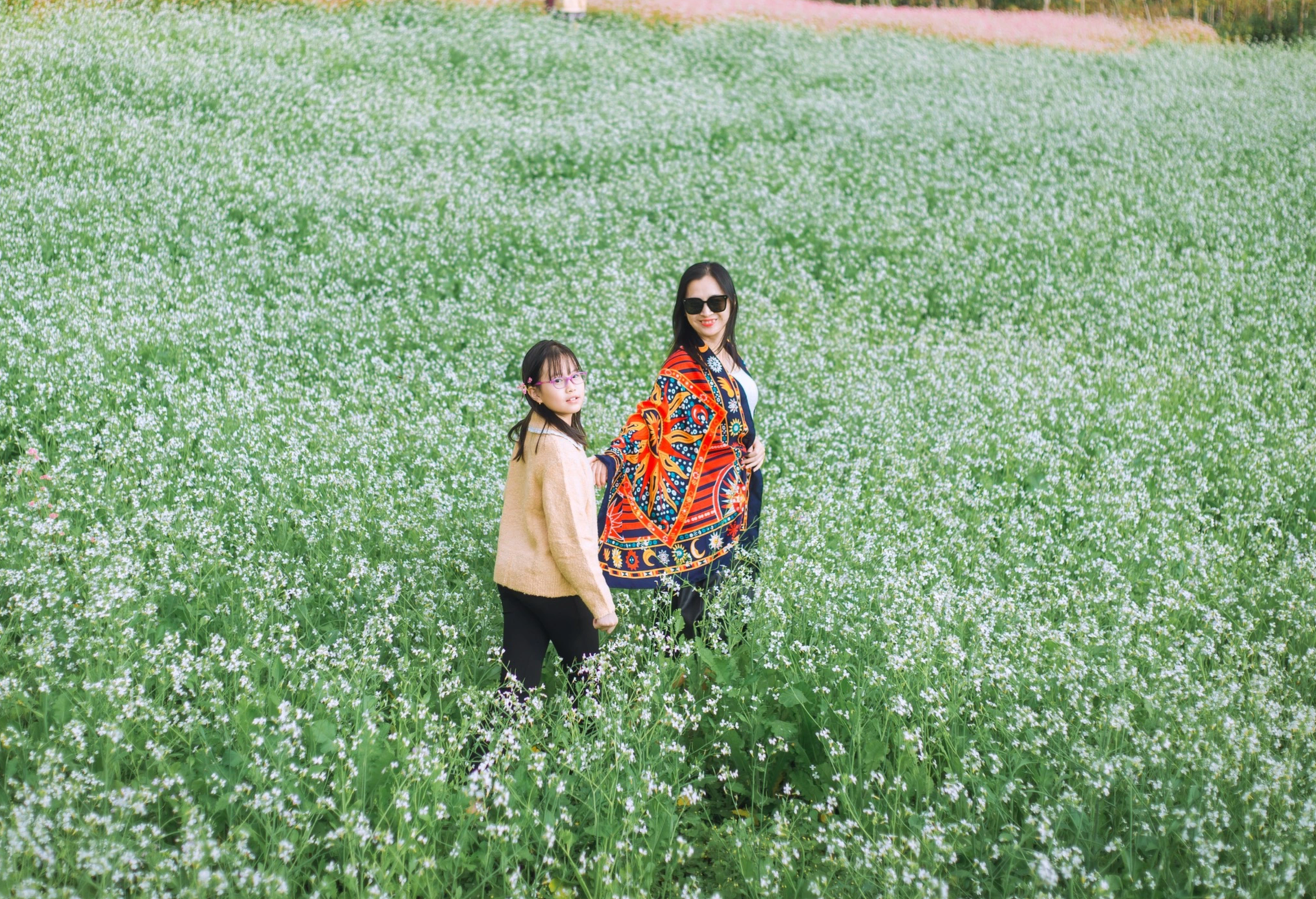 White mustard flowers are vast in Moc Chau, tourists from everywhere flock to take photos - 9