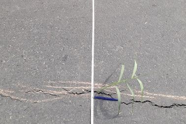 Quốc lộ 91 từng sạt lở xuống sông Hậu… có nguy cơ sạt lở tiếp