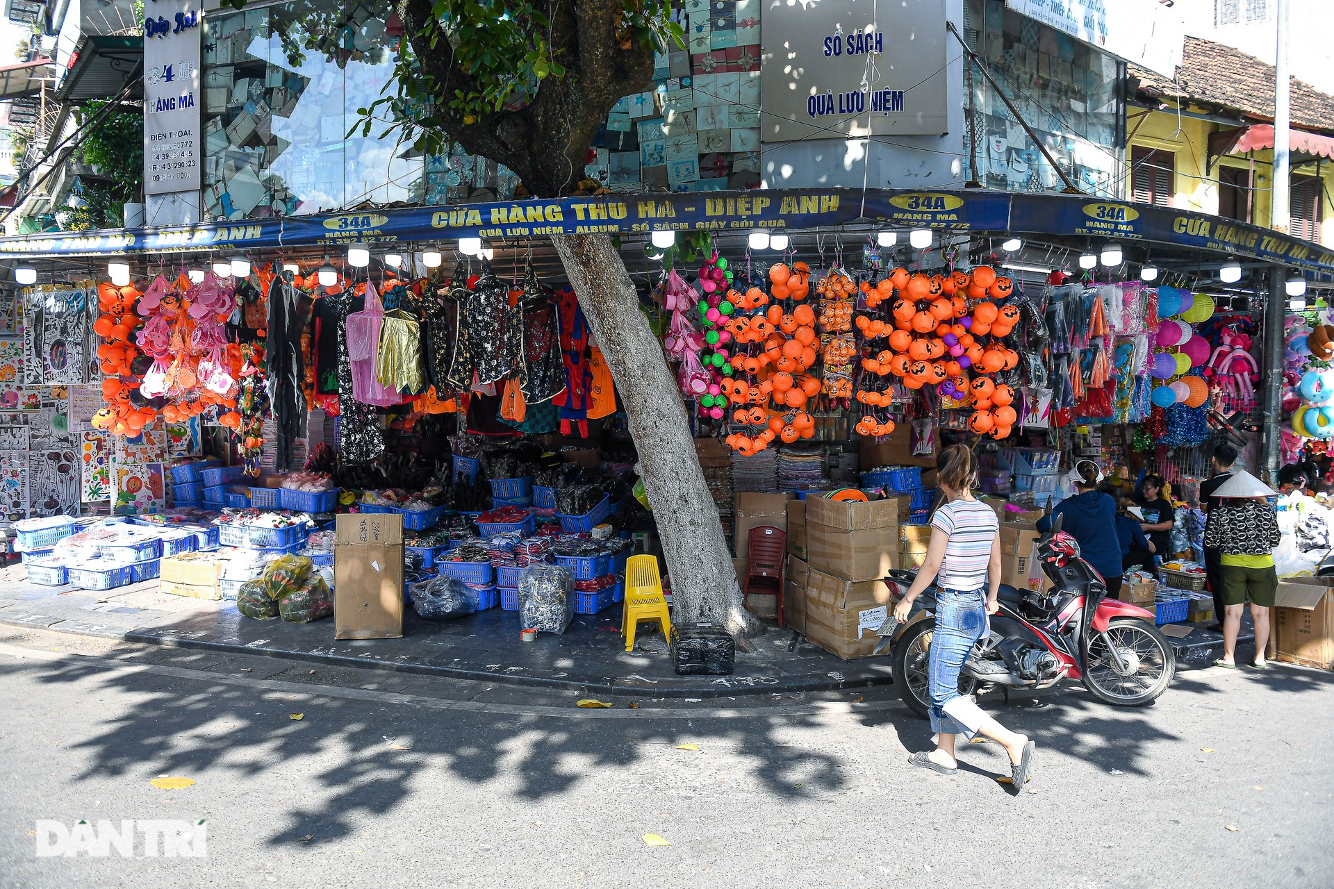 Phố Hàng Mã: Tràn ngập đồ chơi kinh dị trước ngày lễ Halloween - 1