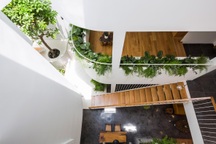 Gia đình ở TP HCM gây “sốt” với ngôi nhà xây “cho con gái” đẹp như mơ