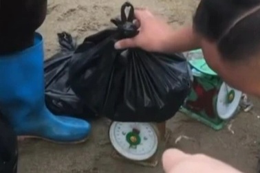 Người bán hàng rong cân thiếu hải sản cho du khách ở Sầm Sơn