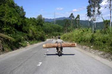 Quảng Nam: Lập lại rào chắn kiểm soát lâm sản 