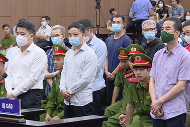 Cựu Đại sứ Việt Nam tại Nhật: Bị cáo không quyết trả lại tiền là sai lầm