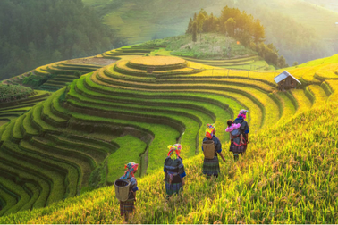 Báo Anh nêu 17 lí do “khẩn thiết” đến Việt Nam