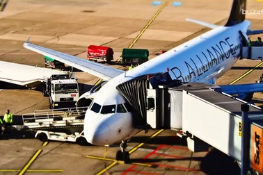 “Cô lợn” mặc váy – thành viên tích cực ở phi trường giúp du khách giảm nỗi sợ khi bay