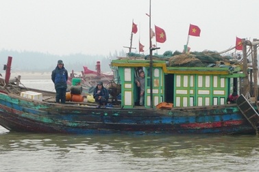 Đại lý ngừng thu mua, ngư dân mang hải sâm đổ xuống biển  