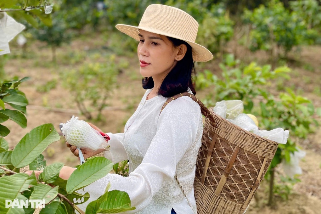 Người phụ nữ biến lá ổi thành thức uống đặc biệt, thu lợi kép - 1 Người phụ nữ biến lá ổi thành thức uống đặc biệt, thu lợi kép - 1