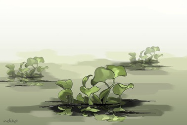 “Xẻ đôi ngọn gió hai đầu nhớ thương”