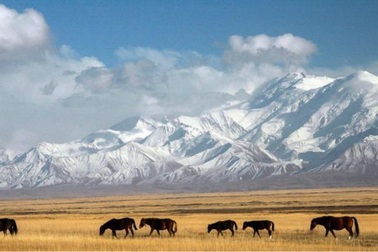 Trải nghiệm đắt giá trên hành trình khám phá “Nóc nhà thế giới”